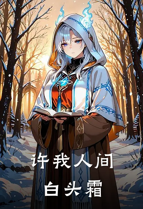 许我人间白头霜