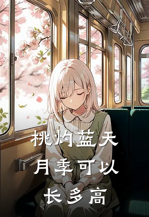 桃灼蓝天月季可以长多高