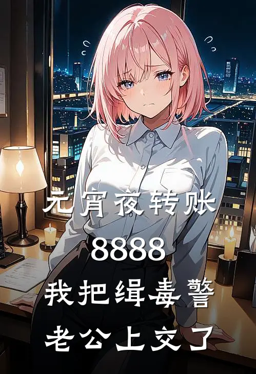 《元宵夜转账8888：我把缉毒警老公上交了》赵念李锋全文免费在线阅读_《元宵夜转账8888：我把缉毒警老公上交了》全集阅读