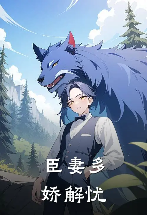臣妻多娇 解忧