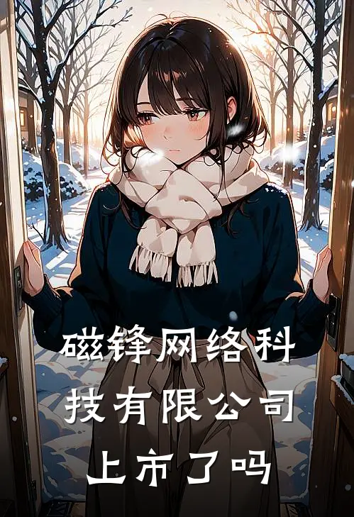 磁锋网络科技有限公司上市了吗